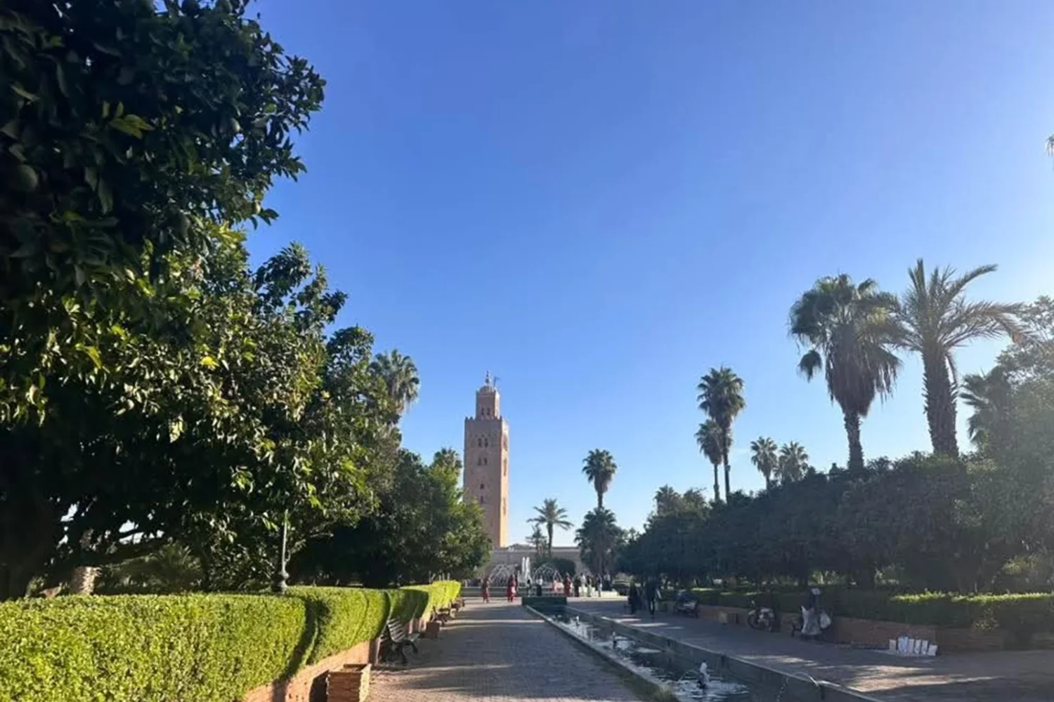 Morocco True Tours