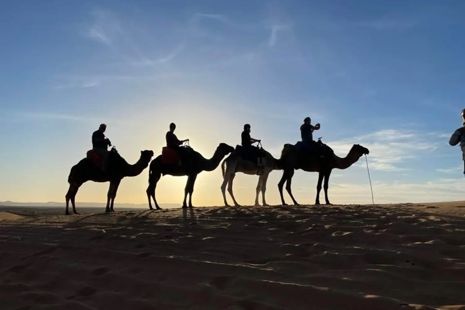 Morocco True Tours