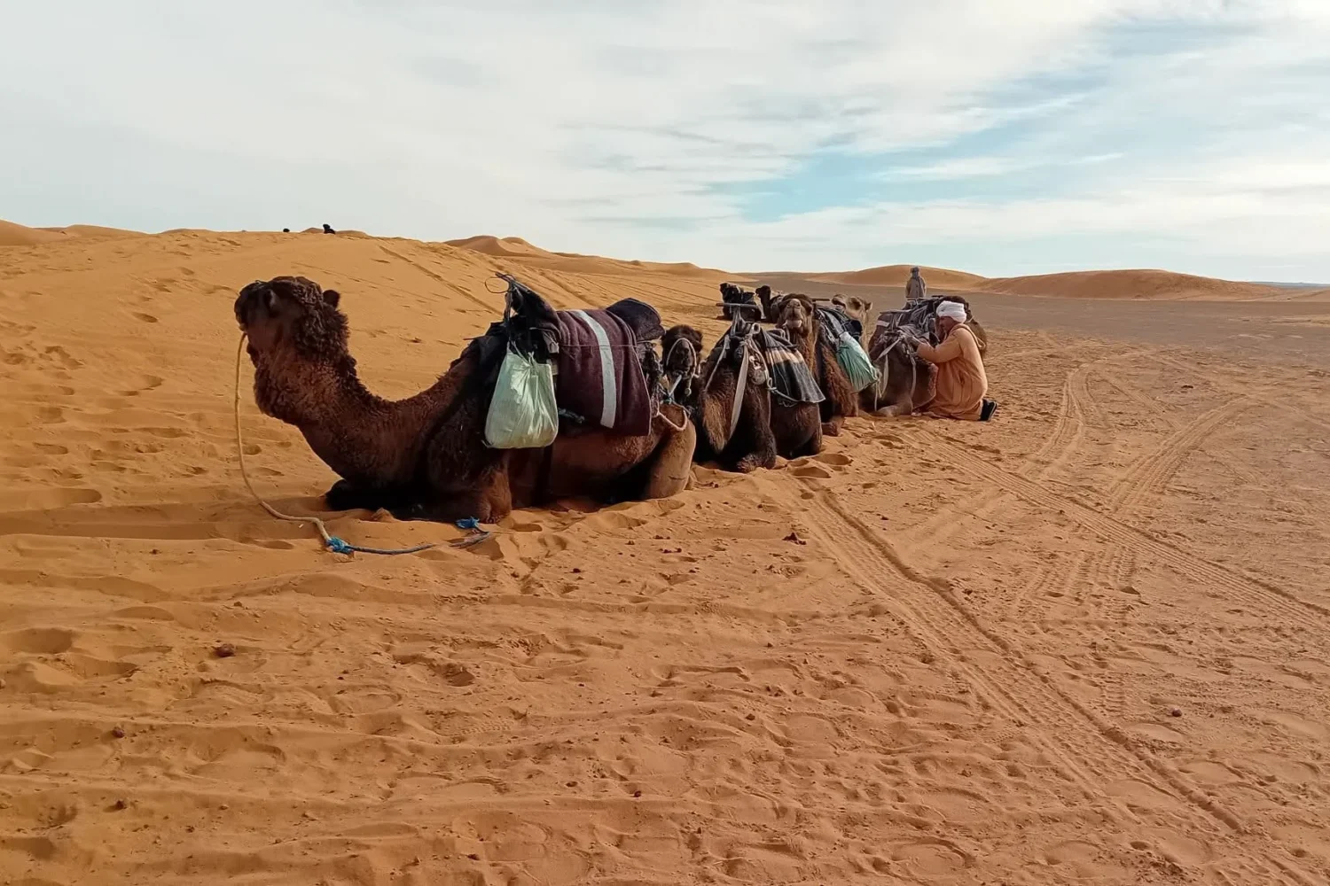 Morocco True Tours