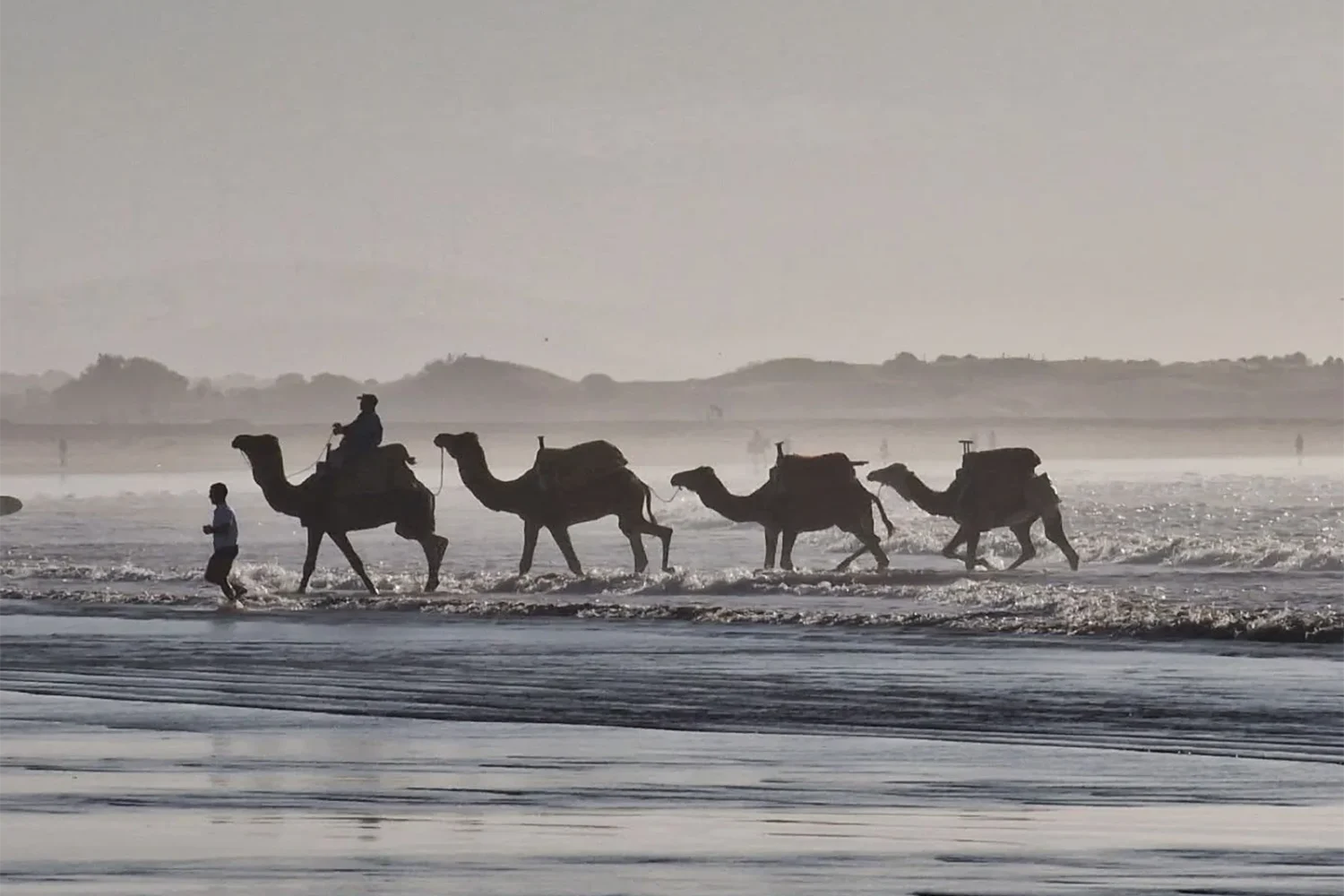 Day Trip from Marrakech to Essaouira