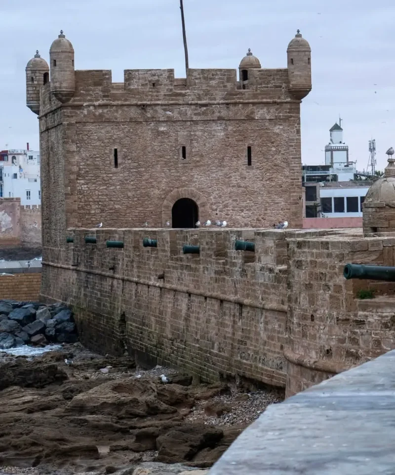 Morocco True Tours