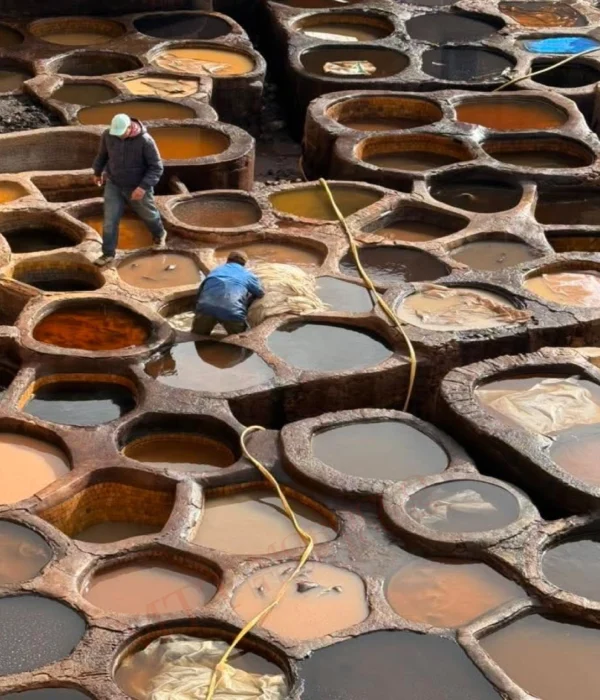 Morocco Tours From Fes