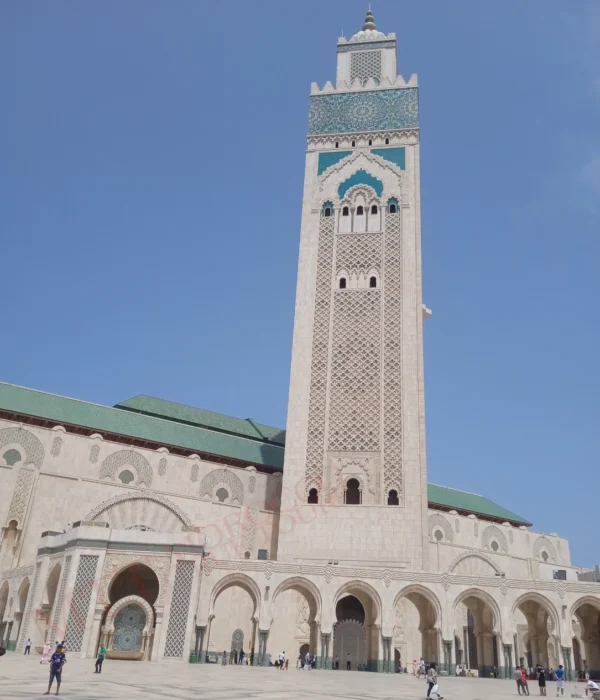 Morocco True Tours Casablanca